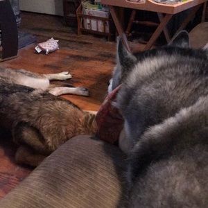 Meet your Posher, Christy